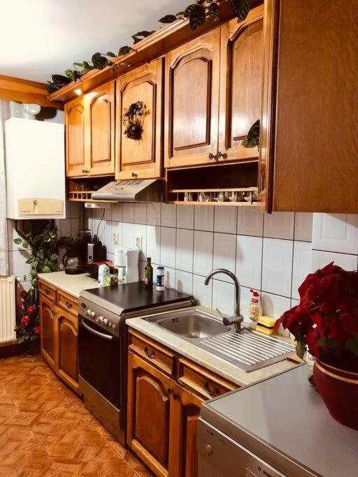 Joy City Stay Ferkel 7 Тімішоара Екстер'єр фото