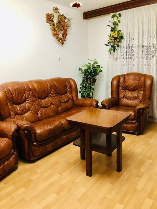 Joy City Stay Ferkel 7 Тімішоара Екстер'єр фото