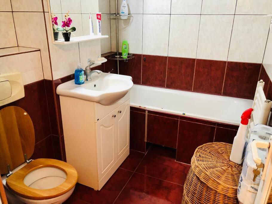 Joy City Stay Ferkel 7 Тімішоара Екстер'єр фото