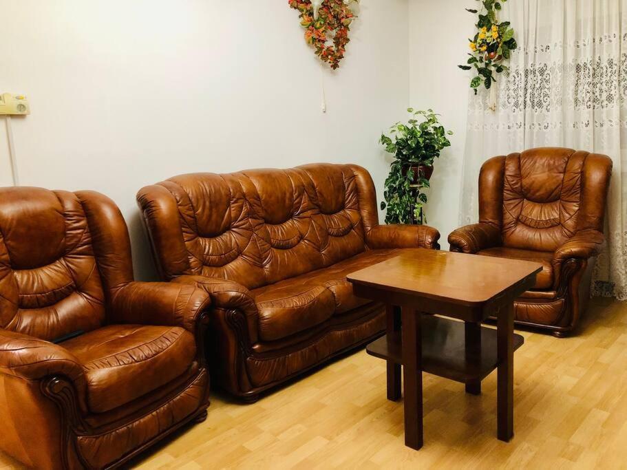 Joy City Stay Ferkel 7 Тімішоара Екстер'єр фото