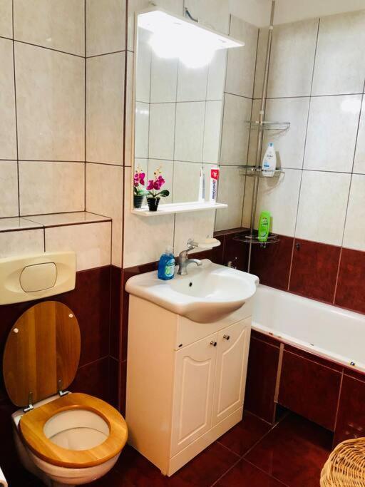 Joy City Stay Ferkel 7 Тімішоара Екстер'єр фото