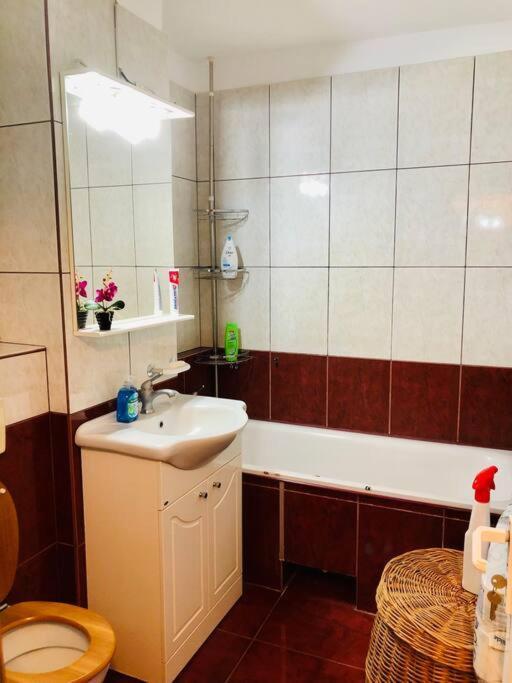 Joy City Stay Ferkel 7 Тімішоара Екстер'єр фото
