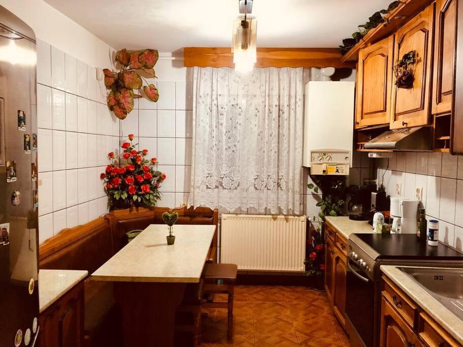 Joy City Stay Ferkel 7 Тімішоара Екстер'єр фото